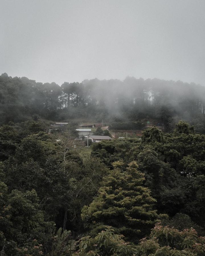 Phu Morinn Camping ม่อนแจ่ม Mon Jam 외부 사진